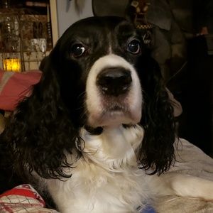 Meet your Posher, Cheri